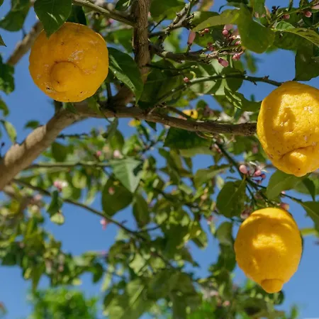 Appartement Like-home-t1 Apt-the Counstryside In The