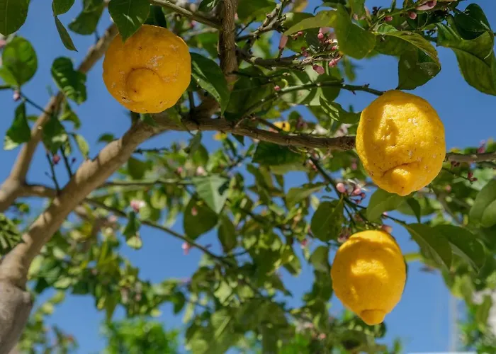 Appartement Like-home-t1 Apt-the Counstryside In The