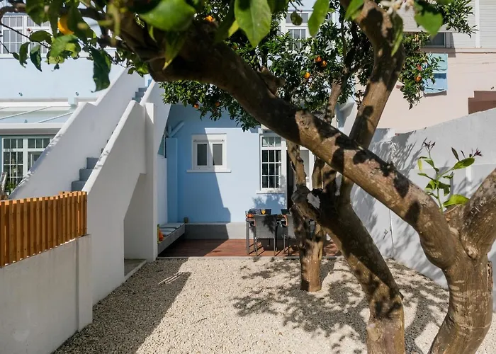 Like-home-t1 Apt-the Counstryside In The *